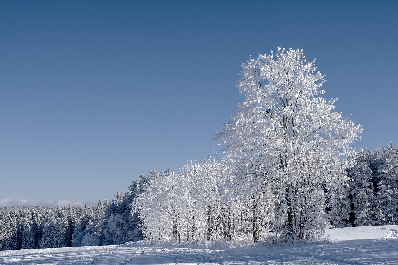 冬の雪遊びに必要な持ち物は子供にとって何ですか？