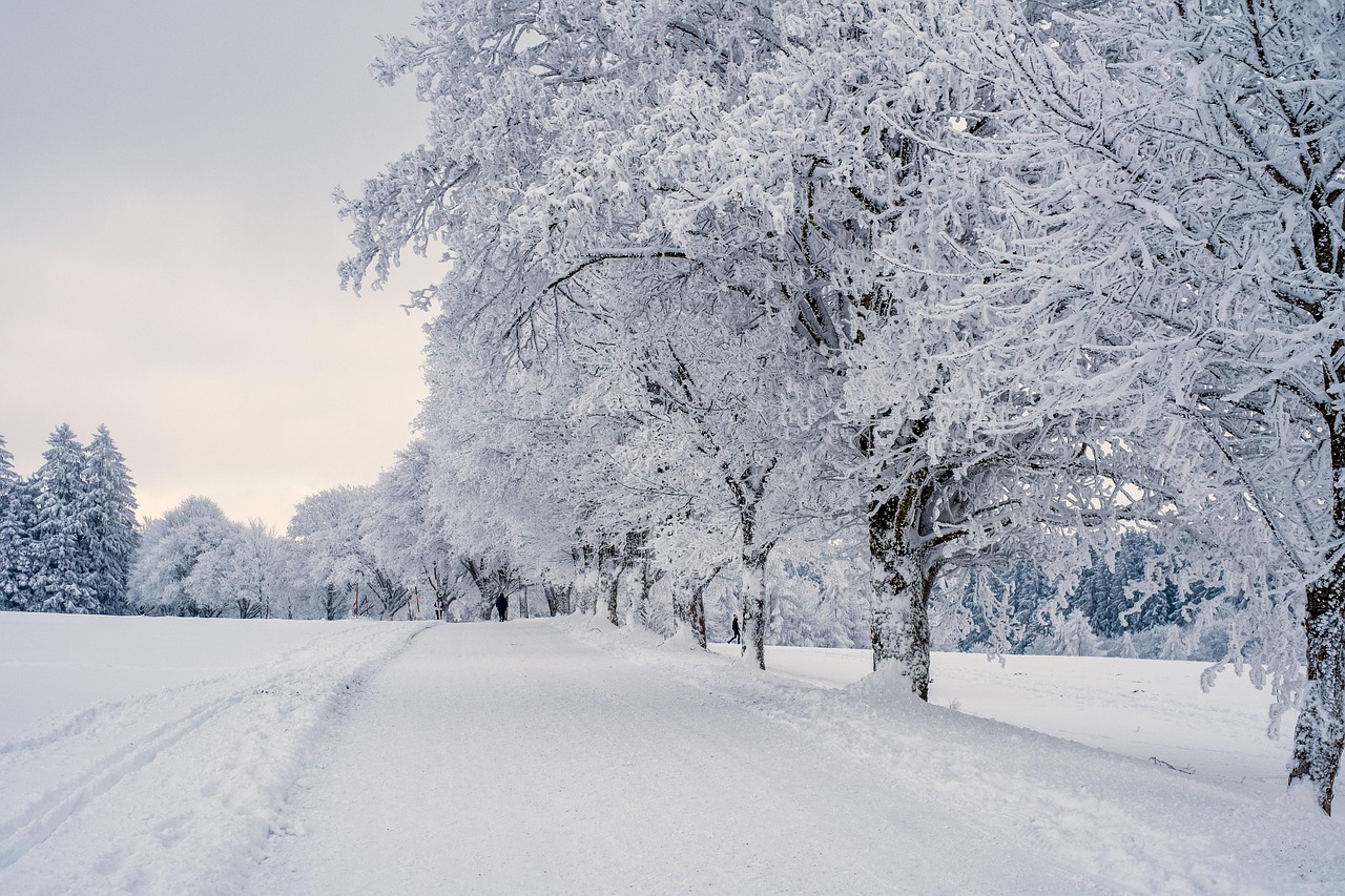 雪遊びを楽しむ公園で必要な持ち物は子どもに何ですか？