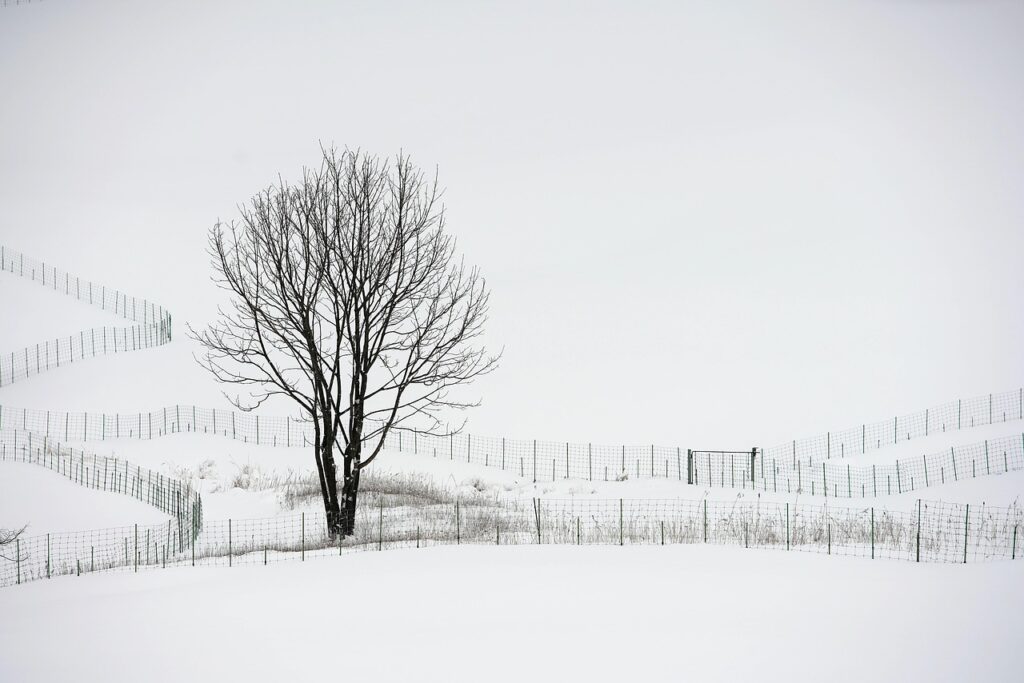 雪遊びに最適な抱っこ紐防寒ケープのおすすめは？