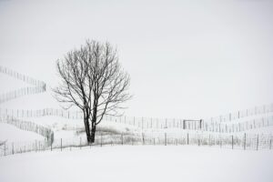 雪遊びに最適な抱っこ紐防寒ケープのおすすめは？