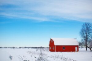 雪遊びを楽しむために子どもに必要なものは？
