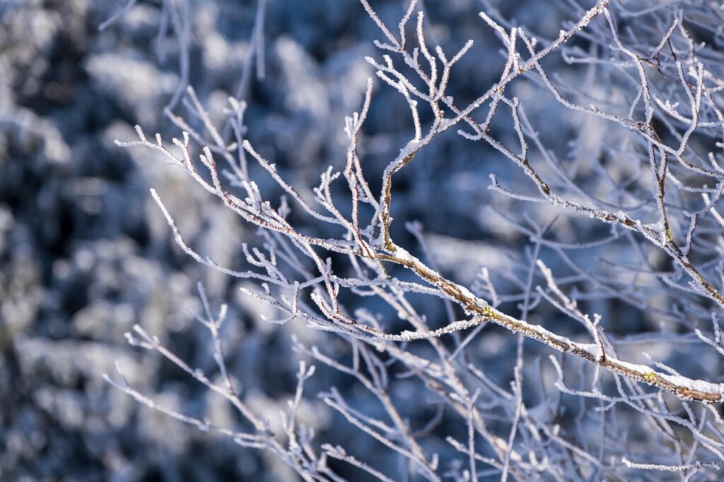 関東で子どもが雪遊びを楽しむための服装は？