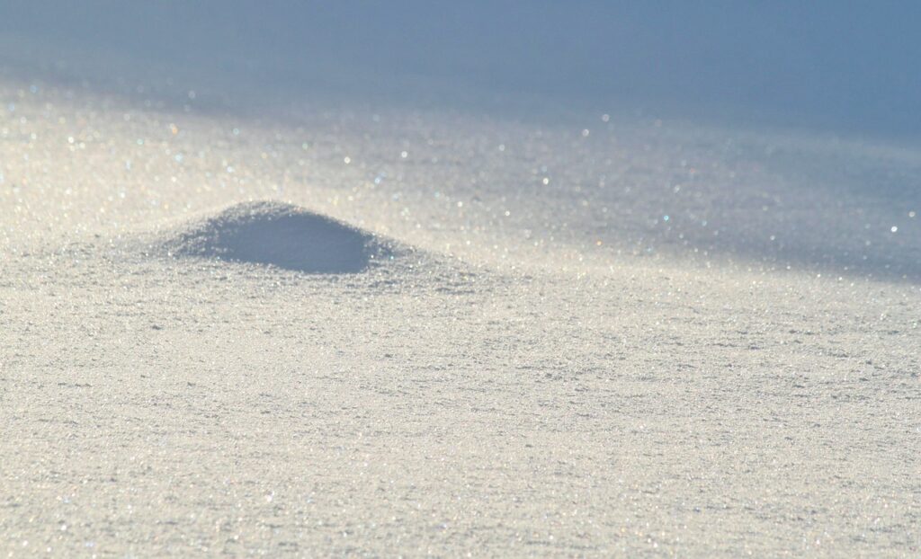 雪の日の散歩で子どもと楽しむ雪遊びの持ち物は？