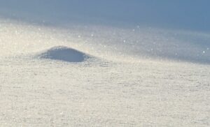 雪の日の散歩で子どもと楽しむ雪遊びの持ち物は？