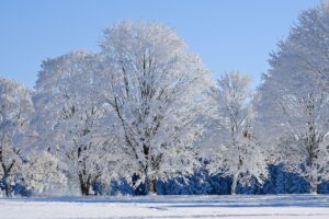 雪国で子どもが楽しむための雪遊びに最適な服装は？