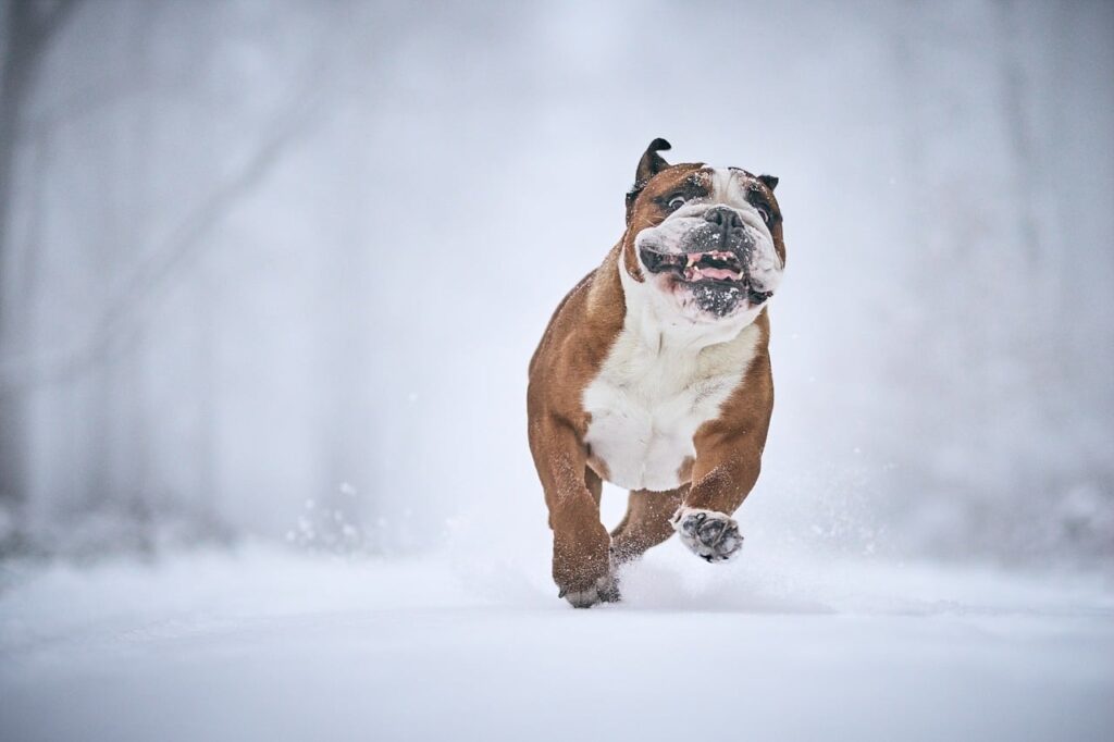 雪遊びを楽しむために子どもに替えの靴下は必要？