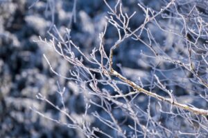 雪遊びを楽しむための子ども向け持ち物一覧は？