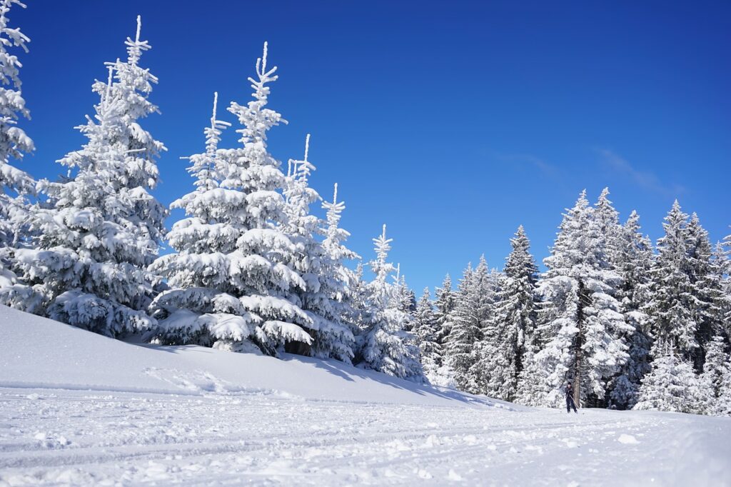 雪遊びを楽しむ子どもに必要なスキー場の持ち物は？