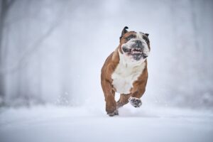 雪遊びを楽しむ子どもに必要な安全対策は？