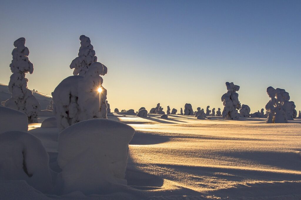 雪遊びに最適なおすすめグッズはどれ？